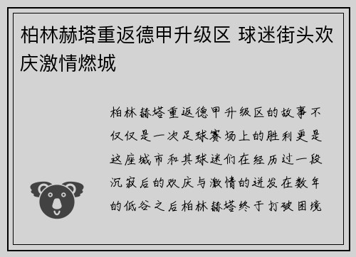 柏林赫塔重返德甲升级区 球迷街头欢庆激情燃城