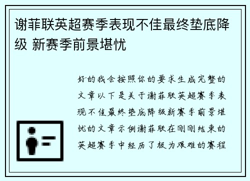 谢菲联英超赛季表现不佳最终垫底降级 新赛季前景堪忧